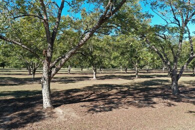 Irrigated Orchard