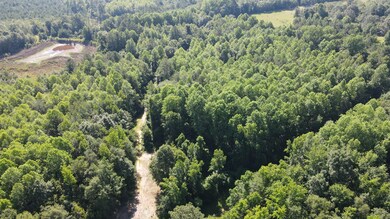 DJI_0424