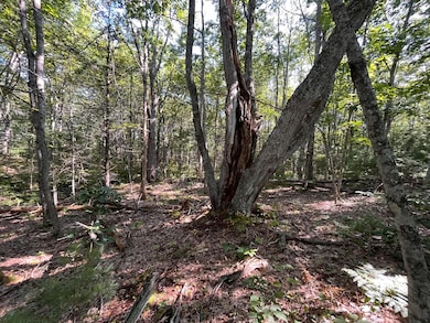 38E Maine 32, Round Pond, ME 04564 - photo 3