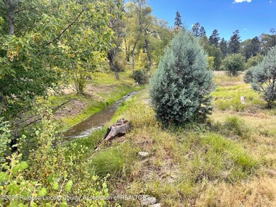 353 Sandesta Dr, Alto, NM 88312 - photo 3