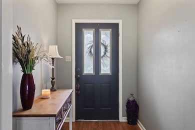 Foyer with dark wood-type flooring