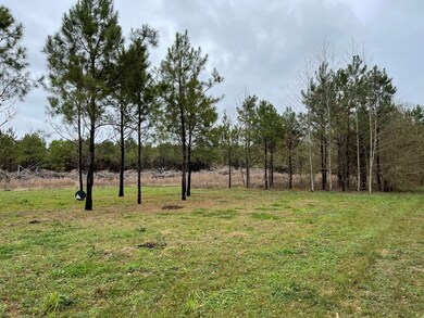 96 Moss Rd, Kokomo, MS 39643 - photo 4