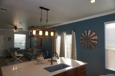 12335 Craddick Cove, San Antonio, TX 78254 - photo 4