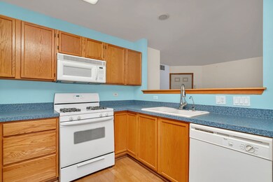21230 W Walnut Dr unit A, Plainfield, IL 60544 - photo 4