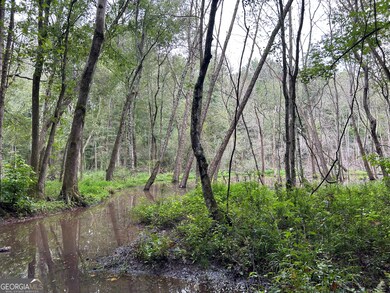 0 Bush St unit 10582678, Barnesville, GA 30204 - photo 2