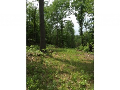 37 Bancroft Rd, Rindge, NH 03461 - photo 5