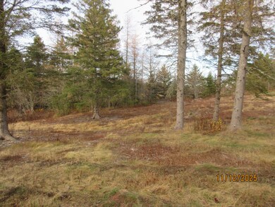 Lot 2 Smalls Point Rd, MacHiasport, ME 04655 - photo 4