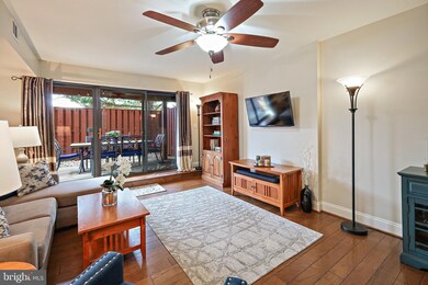 105 Skyhill Rd unit 1, Alexandria, VA 22314 - photo 6