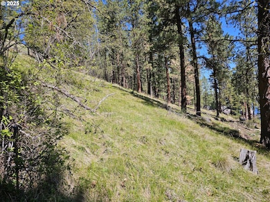 0 Lake Shore Rd unit 149390254, Outside City Limits, OR 97846 - photo 7