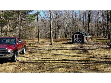 Yard/Garden.