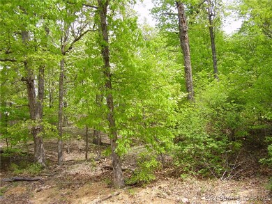Mostly Wooded