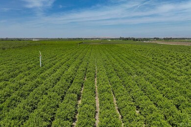 0 Road 176 unit 231620, Exeter, CA 93221 - photo 4