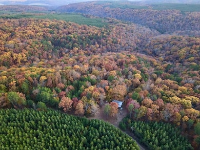 000 Cr 212, Clinton, AR 72031 - photo 2