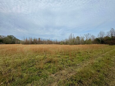 0001 Brown Rd W, Canton, MS 39046 - photo 7