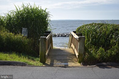 8 Upshur Ave, Annapolis, MD 21403 - photo 3