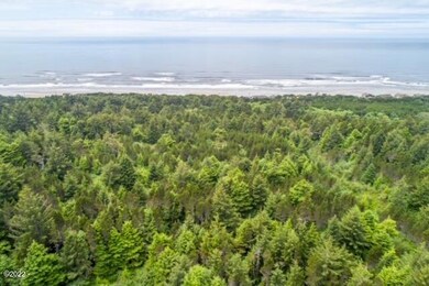Timber Views