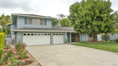 Front Yard & Driveway