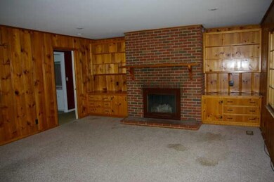 Den with fireplace