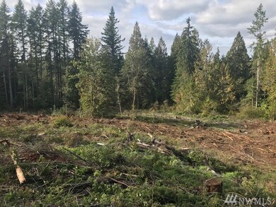 0 SW Spruce Rd unit 1524651, Port Orchard, WA 98367 - photo 2