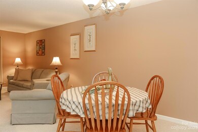 1004 Deermouse Way, Hendersonville, NC 28792 - photo 6