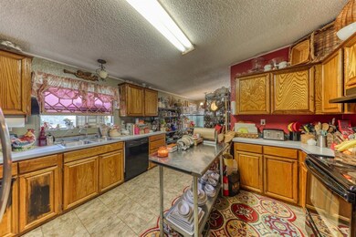 149 Bronco Ln, Springtown, TX 76082 - photo 3