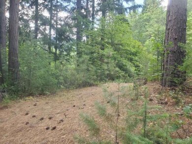 00 Timber Dr, Dunsmuir, CA 96025 - photo 7