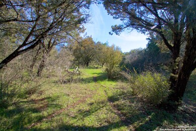 2660 Trophy Point, New Braunfels, TX 78132 - photo 2