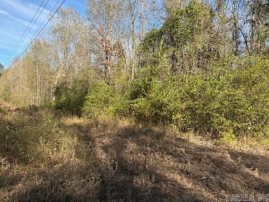 0 Hempstead 148 Rd, Hope, AR 71801 - photo 6