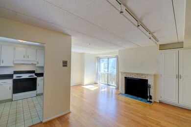 17 Healey St unit 302, Cambridge, MA 02138 - photo 3