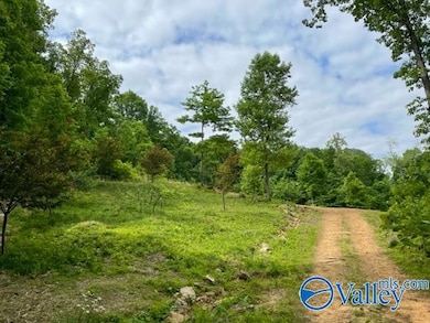 646 Keel Mountain Rd, Gurley, AL 35748 - photo 5