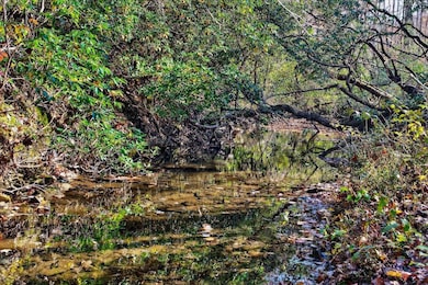 266AC Meadow Lark, Dunlap, TN 37327 - photo 2