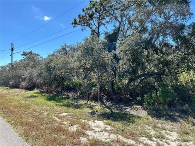 0 Woodstork Way unit MFRL4957343, Frostproof, FL 33843 - photo 2