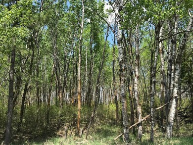 TBD State Hwy 34, Park Rapids, MN 56470 - photo 7