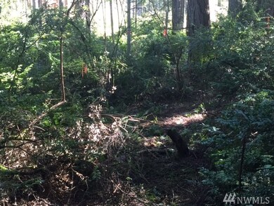 0 Crawford Rd unit 1034487, Langley, WA 98260 - photo 4