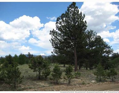 364 Yellowstone Rd, Hartsel, CO 80449 - photo 3