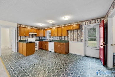 546 Hamm Rd, Blountsville, AL 35031 - photo 7