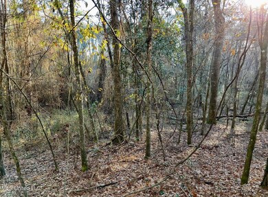 land-for-sale-pike-county-ms4 (5)