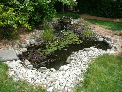 Yard/Pond