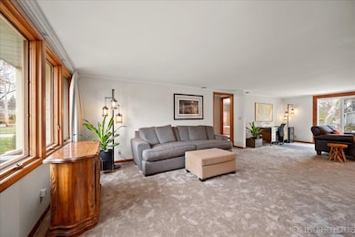 Brand new carpet through out.