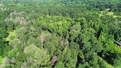 0 Robinson Springs Rd unit 4079514, Madison, MS 39110 - photo 5