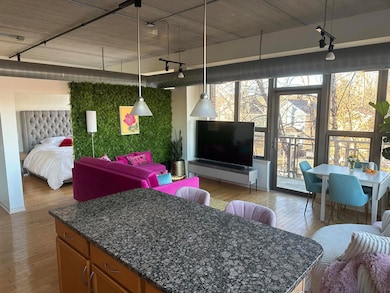 Liberty Lofts Condos unit 305, Ann Arbor, MI 48103 - photo 3