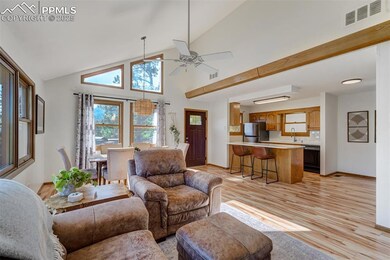 9910 Mountain Rd, Cascade, CO 80809 - photo 3