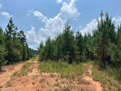 162 Tuggle Rd, Eatonton, GA 31024 - photo 4