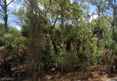 14223 Cain Ave, Port Charlotte, FL 33953 - photo 4