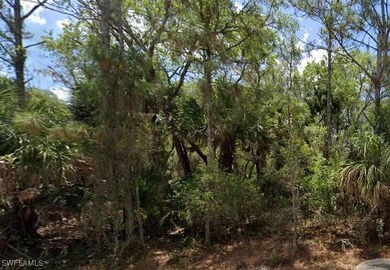 View of local wilderness