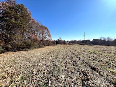 000 Sam Poole Ln, Taylorsville, NC 28681 - photo 4