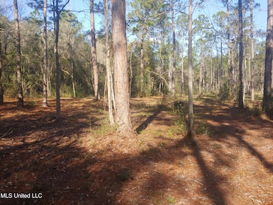 Nhn Crazy Horse Dr, Kiln, MS 39556 - photo 3