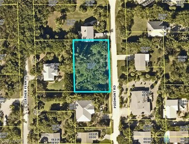 LeePA aerial of parcels