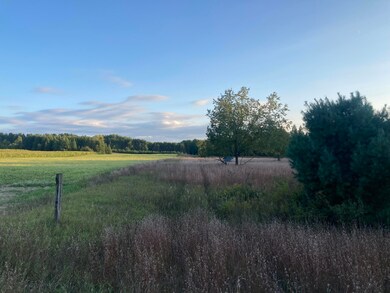 4740 Secord Rd, Wolverine, MI 49799 - photo 4