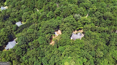 186 Sweetbriar Dr unit LOT 10, Demorest, GA 30535 - photo 7